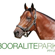 Booralite Park logo
