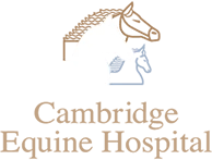 Cambridge Equine Hospital logo