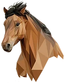 Equine Laser Therapy logo