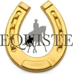 Equiste -Sarah Venamore - Coach Educator, General Level 1, Vaulting Level 2 & Dressage Level 2 Coach logo
