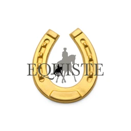 Equiste -Sarah Venamore - Coach Educator, General Level 1, Vaulting Level 2 & Dressage Level 2 Coach logo