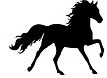 Holistic Equine Saddlery & Tack logo