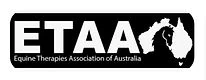 Kuda Sporthorse Massage logo
