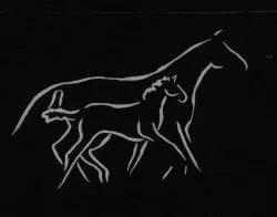 Macedon Ranges Equine Vets logo