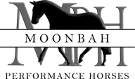 Moonbah Performance Horses logo