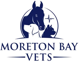 Moreton Bay Vets logo