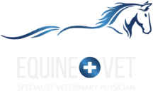 Noosa Equine Vet logo