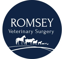 Romsey Veterinary Surgery logo