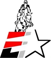 Team Equistar logo