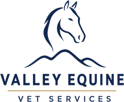 Valley Equine Vet Services logo