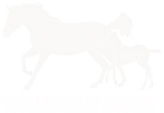 Wollondilly Equine logo